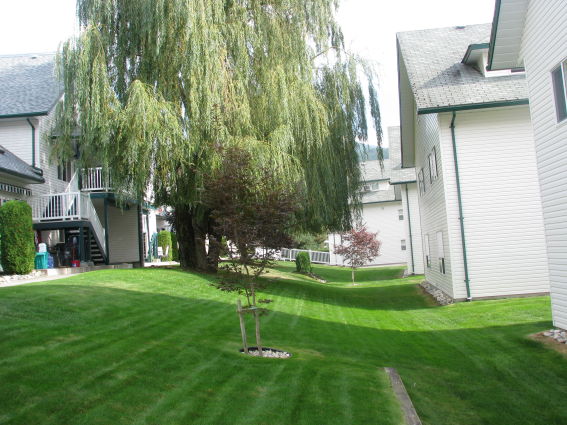 Shuswap Lakeside Rentals