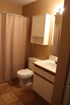 Beachfront vacation homes Sicamous